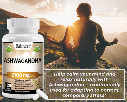 Organic Ashwagandha – Clean Calm. Laser Focus. Real Energy.
